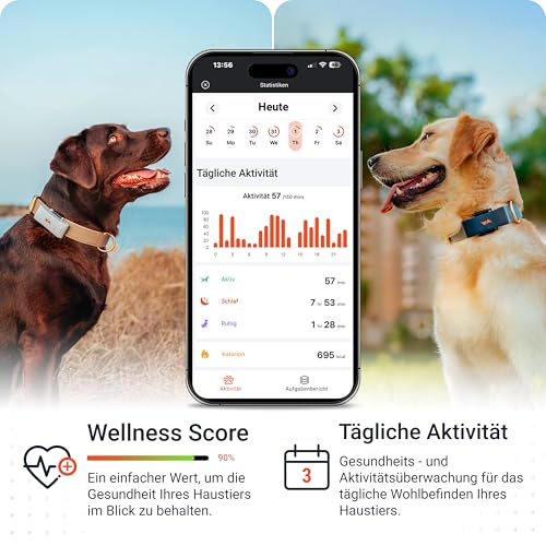 PAJ GPS Tracker für Hunde - 4G - Weglaufalarme + weltweite Live-Ortung - bis zu 10 Tage Akkusparmodus - Hunderückruf - mit Leucht-LEDs - Wasserdicht (IP67) - passt an jedes Halsband (Blau)