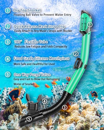 Equipo de snorkel para adultos, set de snorkel con máscara panorámica de 3 ventanas HD vista amplia miniatura 5