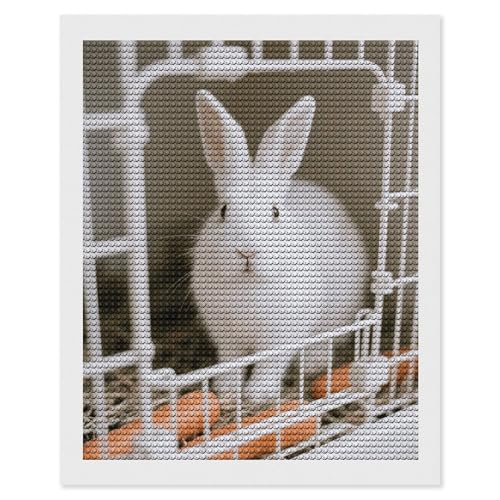 Kit peinture diamant 5D Lapin maccbn : apprenez l'art du diamant facilement sans stress