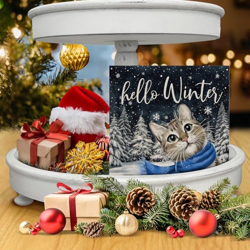 Image of Winter Cat Decor, Hello Winter Wood Box Sign, Seasonal Christmas Holiday Home Office Decorations for Desk Table Shelf 5 X 5 Inches