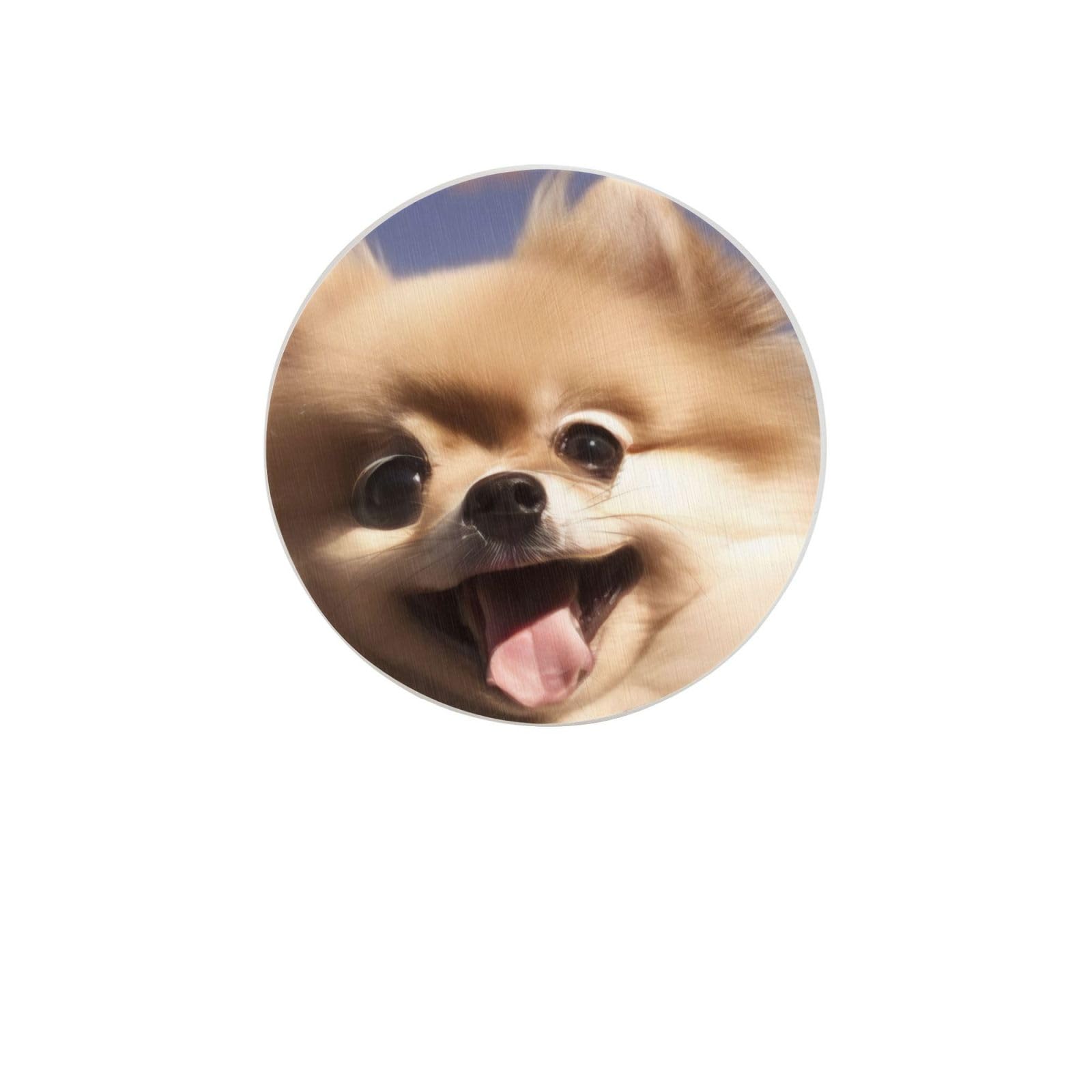 Cute Pomeranian Absorbent Drink Coasters Diatomaceous Round Coaster 4 Inch Reusable Cup Coasters Set 4pc