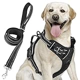 MerryBIY Hundegeschirr und Leine Set für Mittelgroße Hunde, No Pull Hunde Geschirr Brustgeschirr Weich Gepolsterter für Kleine Mittle Große Hund Vest Verstellbar Welpen Brustgurt mit 1,5M Hundeleine