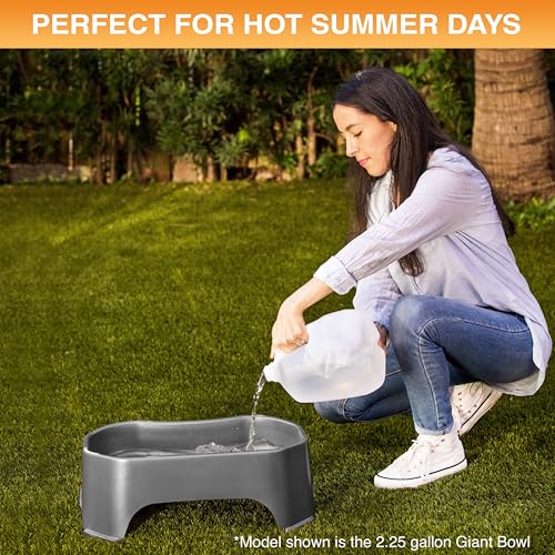 Image of Neater Pet Brands Extra Large Water Bowl for Dogs, Outdoor Dog Water Bowl (1.25 Gallon XL Capacity), Big Trough Style Food Dish for Indoors or Outside, No Spill Large Dog Bowls, Gunmetal Grey