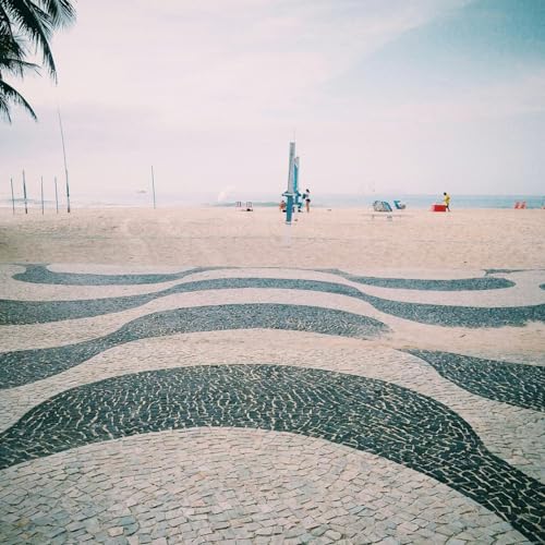 Astrud Giberto, stella per caso