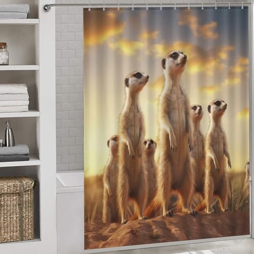 Rideau de douche imperméable Suricate en polyester 168x183cm avec crochets