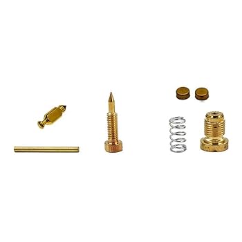 Amazon.com: CQYD New Carburetor Rebuild Carb Repair Kit For