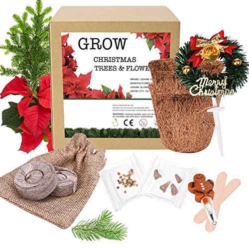 Winter Growing Kit For Christmas. Grow Christmas Trees And Flowers. Includes Everything Needed To Grow Your Own Holiday Lovely Garden. Make A Great Gift. #TOP4