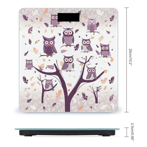 Báscula de Baño Digital BWQJKUO Capacidad 400lb miniatura 2