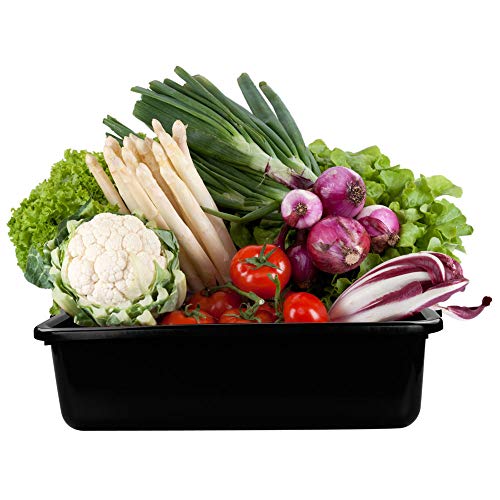 HOMMP 4-Pack Large Plastic Commercial Bus Tubs, 22 L Rectangle Utility Bus Box