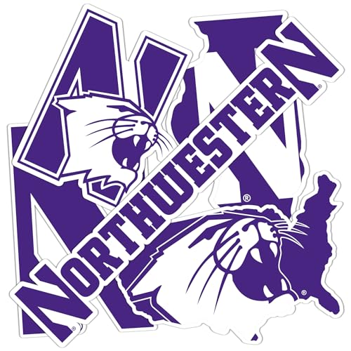 Desert Cactus Northwestern University Wildcats Sticker Vinyl Decals Laptop Water Bottle Car T2 (Type 2-2)