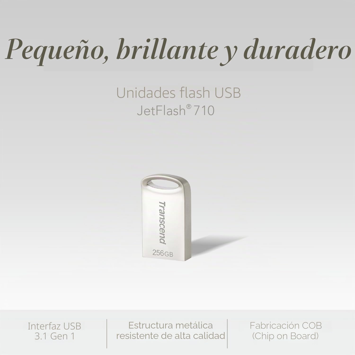 Transcend USB JetFlash 710, 256GB, Memoria Flash USB 3.1, Diseno de Metal - TS256GJF710S