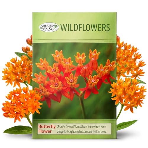 Created By Nature Butterfly Milkweed Seeds Orange Wildflowers for Butterfly Garden Perennial Wildflower for Monarch Butterfly 300 Perennial Garden Seeds (Asclepias tuberosa)