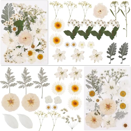 Image of NESCCI 83 Pcs Dried Flowers for Crafts,Real Natural Dried Pressed Flowers in Soft Yellow, White & Pink Tones for Resin,Used for Scrapbooking DIY Art Crafts Candle Soap Making Nails Decor