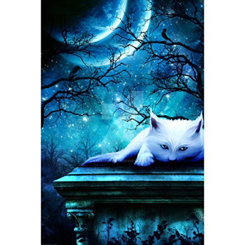 Broderie diamant lune et chat blanc kit 5D pour soirée cocooning