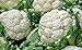 Cauliflower Seed, Snowball Y, Heirloom, Organic, Non Gmo, 25+ Seeds, Large, Delicious and Healthy