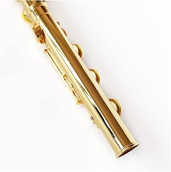 Amazon.co.jp: プロフェッショナル フルート 金メッキ フルート E Amazon.co.jp: プロフェッショナル フルート 金メッキ フルート E