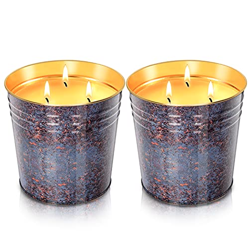 Allgreen Citronella Candles Outdoor,2x20oz Large Size, 3 Wicks Design Scented Candles, Aromatherapy Candles Natural Soy Wax Candle Gift Set,2 Pack