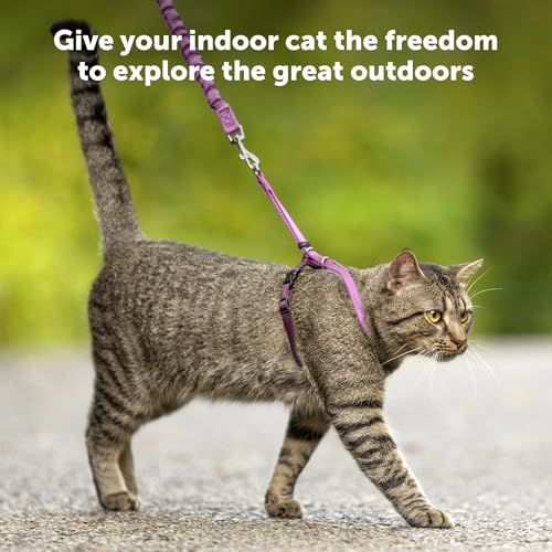 Miniatura 3 de Petsafe Easy Walk, Arnés Para Gatos, Con Correa Elástica, Arnés De Seguridad, Ajustable, Cómodo, Con Sección Elástica - Azul, M