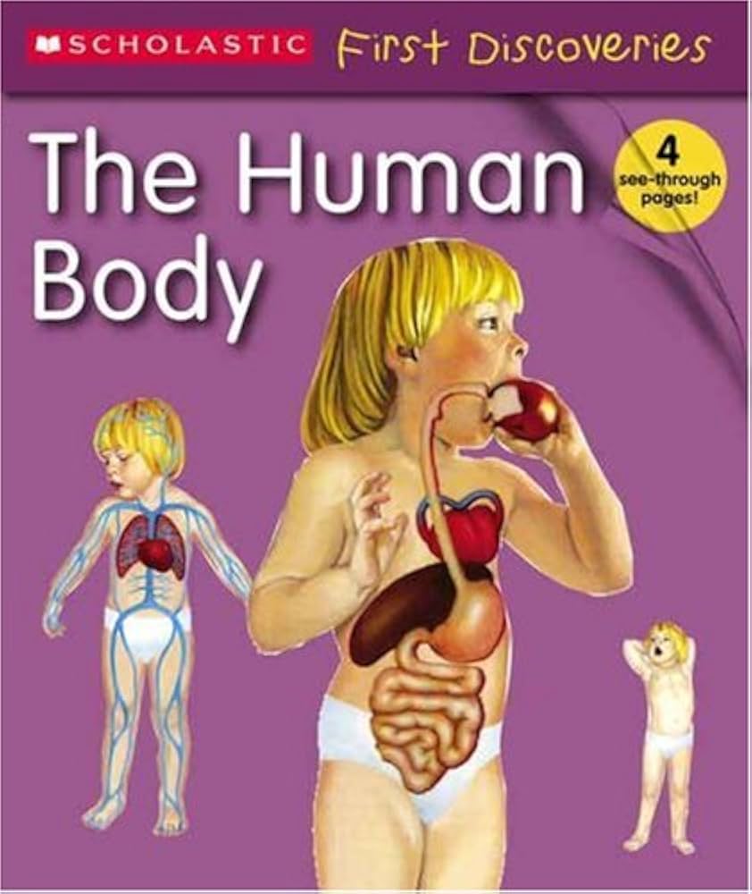 The Human Body (Scholastic First Discovery): Jeunesse