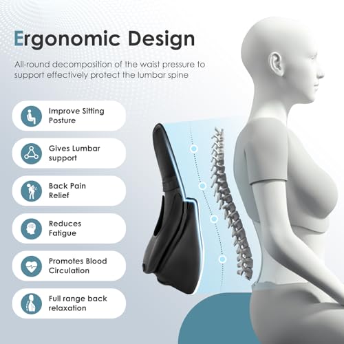 Image of FLORICH Memory Foam Double Layer Breathable Mesh Lumbar Support Ergonomic Leather Lumbar Support Pillow with 3D Mesh Back Support and Adjustable Strap for CarSeat & Office Chair(Leather Black)