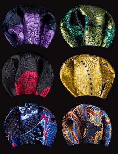 Image of Barry.Wang 6 PCS Men Ties Set Silk Business Fashion Woven Necktie Handkerchief Cufflinks Paisley Stripe Wedding Party