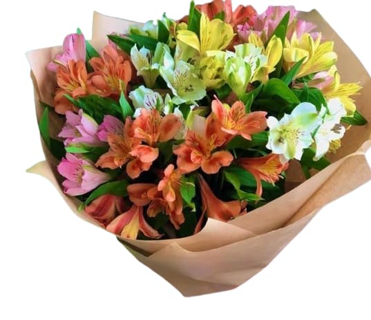 Flores Frescas de Alstroemerias - Ramo Ideal para Toda Celebración - DECOALIVE - Bouquet con 30 Flores Frescas