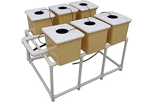 INT SuperMai Bato Buckets for Hydroponics