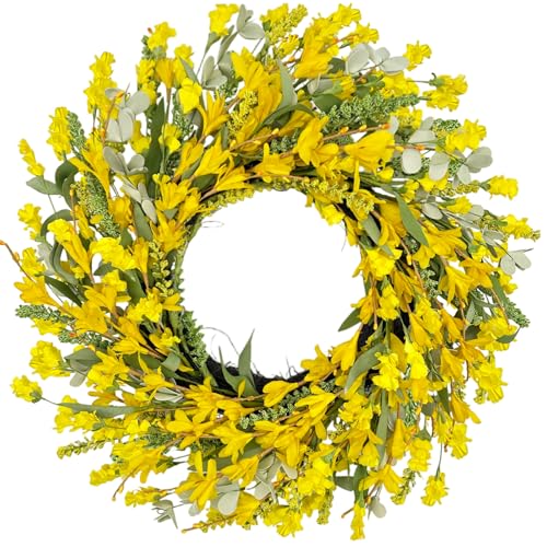 QIANGED 22 Inch Yellow Forsythia Wreaths for Front Door Spring Summer Floral Wreath Farmhouse Wreath for Porch Wall Window Indoor Outdoor Home Decor