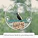 Birdious Circular Window Bird Feeder House: Bring Wild Birds Up Close. Strong Suction Cups and Removable Tray. Clear, See Through, Large Birdfeeder for Outside. Best Gift Idea