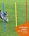 SPORTIKEL24 Slalomstangen 100 cm – ø 32 mm – 5er-Set mit Metallspitze – Rot – Trainingsstangen für Agility, Fußball & Koordinationstraining