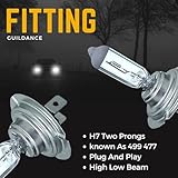 Argo H7 Headlight Bulb 100w Halogen 2500k 12v H7 477 Car Headlight Bulb High Low Dipped Main Beam Headlamp Bright Upgrade Fog Car Light Bulbs 499 PX26D Headlight Bulbs - Image 5