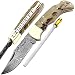 Pocket Knife 6.5'' Ram Horn Damascus Steel Knife Brass Bloster Back Lock Folding Knife +Sharpening Rod Pocket Knives 100% Prime Quality+ Olive Wood Stainless Steel Small Pocket Knife & Damascus Knife