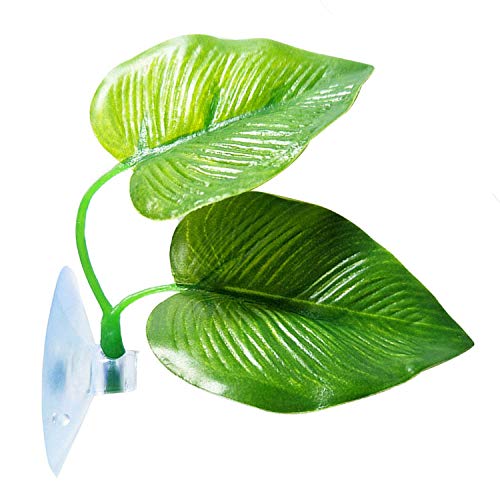 Cousduobe 2 Pack Betta Fish Leaf Pad Improves Betta's Health By Simulating The Natural Habitat - Natural, Organic, Comfortable Rest Area For Fish Aquarium #TOP1