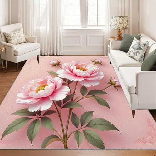 �J�[�y�b�g �s���N�̉��O �����` 3�� 3D ���_�� ���O�}�b�g����@�Ő􂦂� ����Ȃ� �O�~ ���� �J�V�~�����O �z�b�g�J�[�y�b�g���g�[�Ή� ���イ���� �h�_�j ������� �I�[���V�[�Y�� 190x240cm QD93