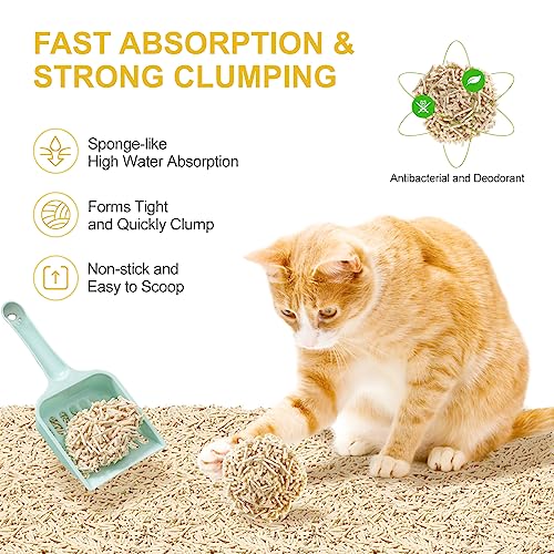 6 x 2,6 KG Lettiera per Gatti in Tofu, Lettiera