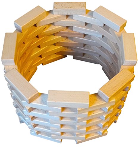 Magz Magnetic Wooden Bricks 40 Piece, Magnetic Building Blocks Containing 40 Magnetized Natural Wood Bricks/Blocks Building And Stacking Set Offered #TOP6