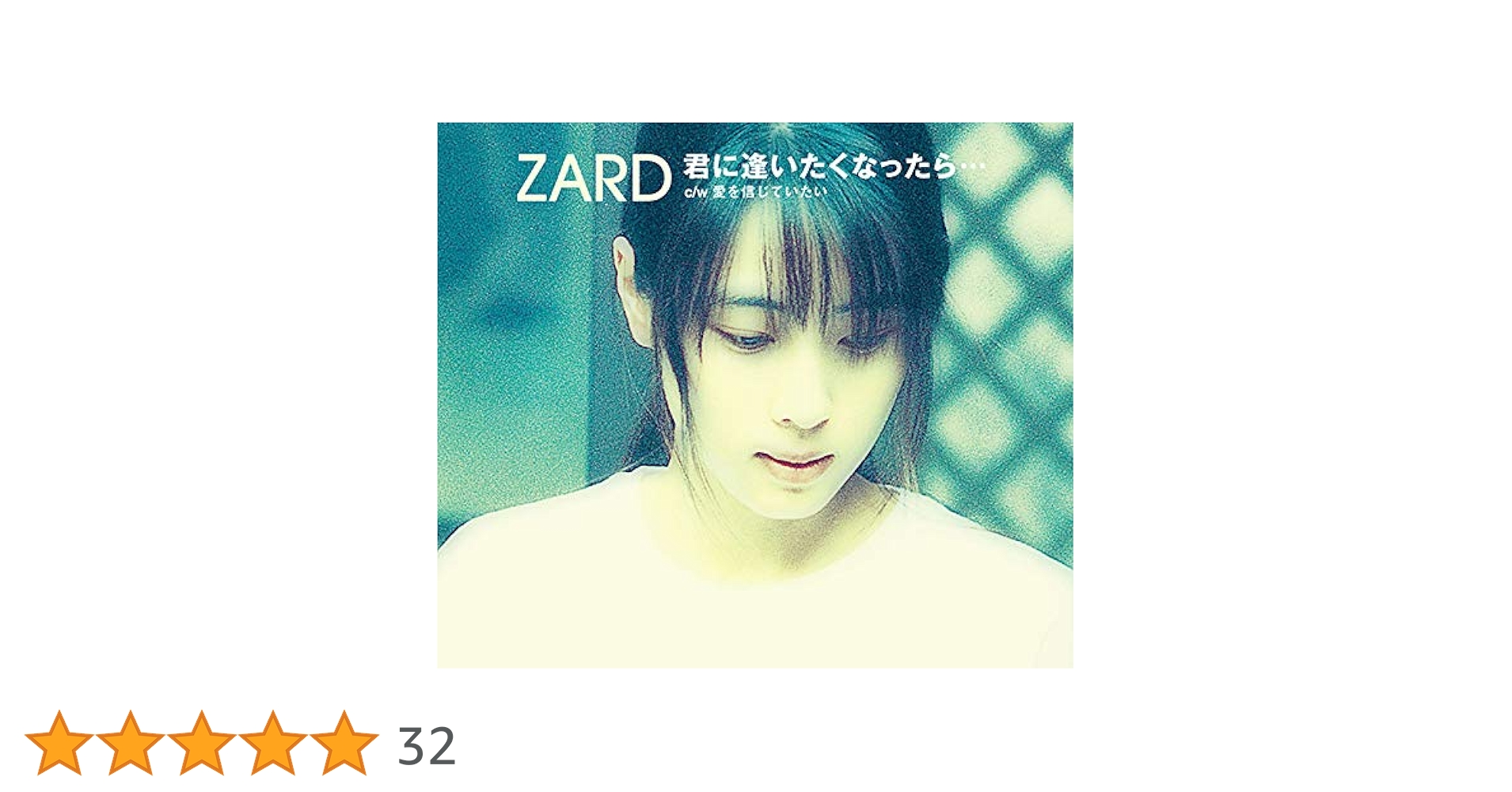 ZARD 写真集 君に逢いたくなったら…インタビュー本 オマケ付き