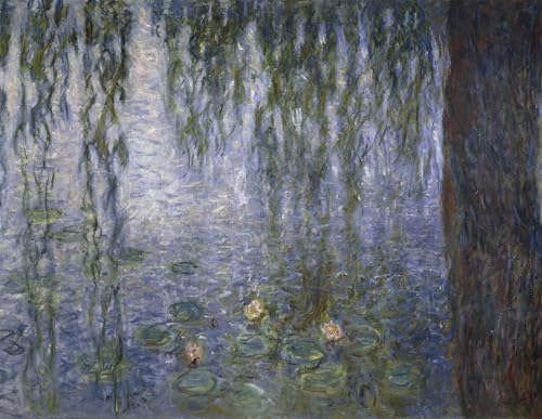 Toile Nymphéas Claude Monet affiche de arts paysage impression peinture