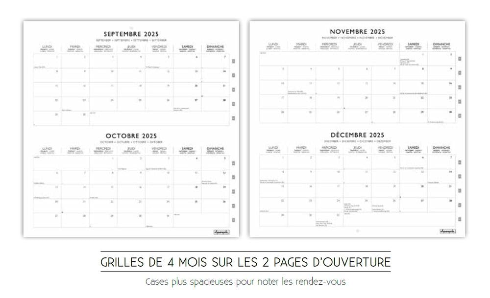 Calendrier Mural 2026 Mila Marquis – 16 Mois, Illustration « Balade Fleurie », 30x30 Cm