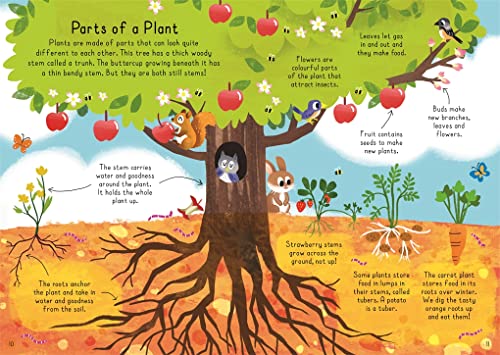 Tell Me About: Plants