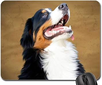 Bernese Mountain Dog Berner Senner Dog