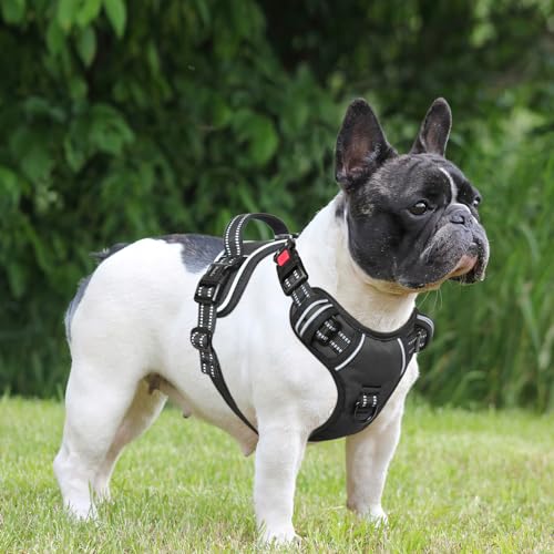 HEELE Hundegeschirr, Brustgeschirre für Hunde, Laufgeschirre Hund mit abschließbarem Schnappverschluss, einstellbare reflektierende Hundegeschirre, Offen am Hals, Anti Zug Dog Harness, Schwarz, M