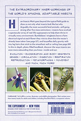 Insects Work Snapklik.com : How Insects Work: An Illustrated Guide To The Wonders Of ...