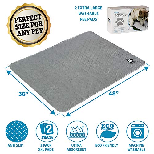 Trendy Den Creations - Washable Pee Pads For Dogs - Reusable Puppy Training Pads - 36"X48" 2 Pack Dog Training Pads Extra Large - Dog Or Cat Bed - Whelping Pads Dog Kennel Or Crate Puppy Pee Pads #TOP1