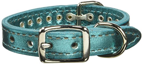 Image of Signature Leather Crystal Dog Collar, Metallic Turquoise Solid Grain Leather, Fits 6 inch-8 inch Neck Size, 10 inch Overall Length