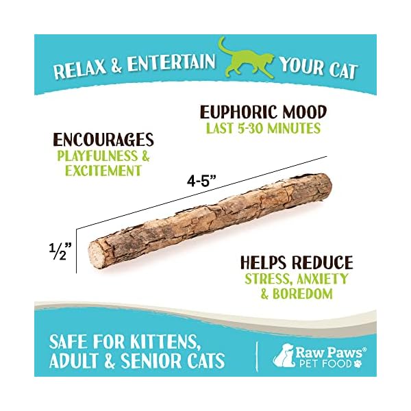 Raw paws silvervine for cats (30-ct) - silvervine cat toys for indoor cats - catnip sticks - matatabi cat chew stick - silvervine sticks for cats, silver vine sticks cat kicker toy, cat toy silvervine - image 4