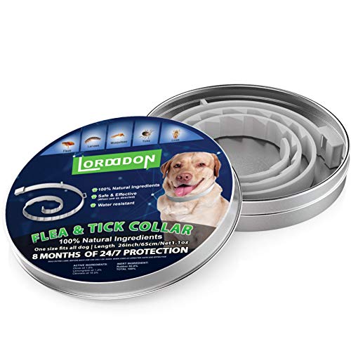 LORDDDON Dog Flea Collars with Reflectors Vet-Recommended Flea and Tick Prevention Collar for Dogs Above 18 lbs Large… - Image 2