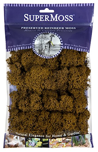 SuperMoss Super Moss (23090 Reindeer Moss Preserved, Brown, 2oz