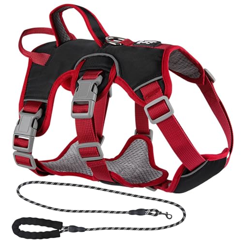 Amexo Pettorina con Guinzaglio per Cani, Imbracatura Traspirante Riflettente Anti Tiro Multiuso per Corsa e Passeggiate (Nero, M)