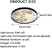 BNTCTC Nordic Moon Pattern Creativity LED Flush Mount Ceiling Light 3-Color Dimming Ceiling Lamp Round Ultra-Thin Indoor Energy Saving Light Fixture Boys Girls Children's Room Lighting Fixtures(33cm)